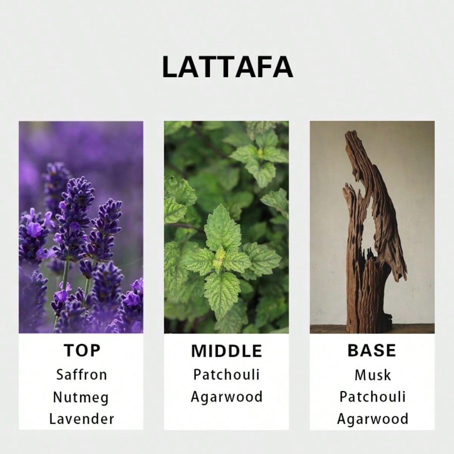 Lattafa Badee Al Oud For Glory - Perfume Fragrances 评论和价格