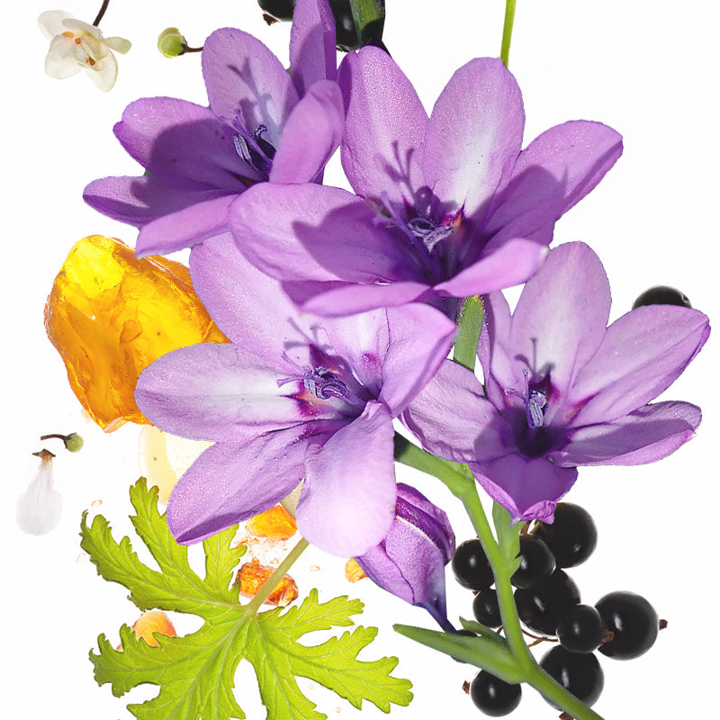 50ml KOEC Moon Violet Purple F - Perfume Fragrance Moisturizer 评论和价格