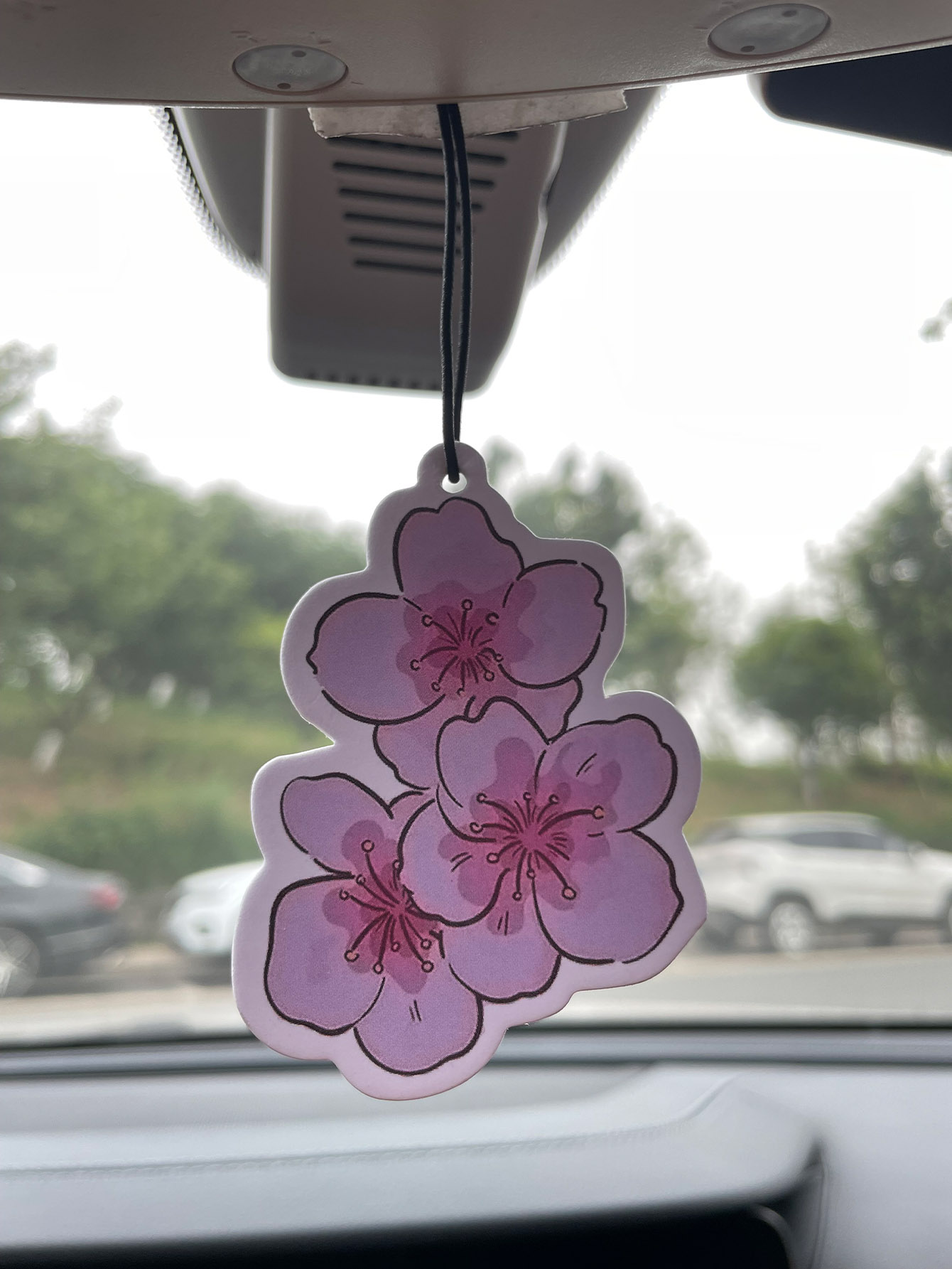 Sakura/Freesia Fresh Scent Fiv - Perfume Fragrance Types 评论和价格