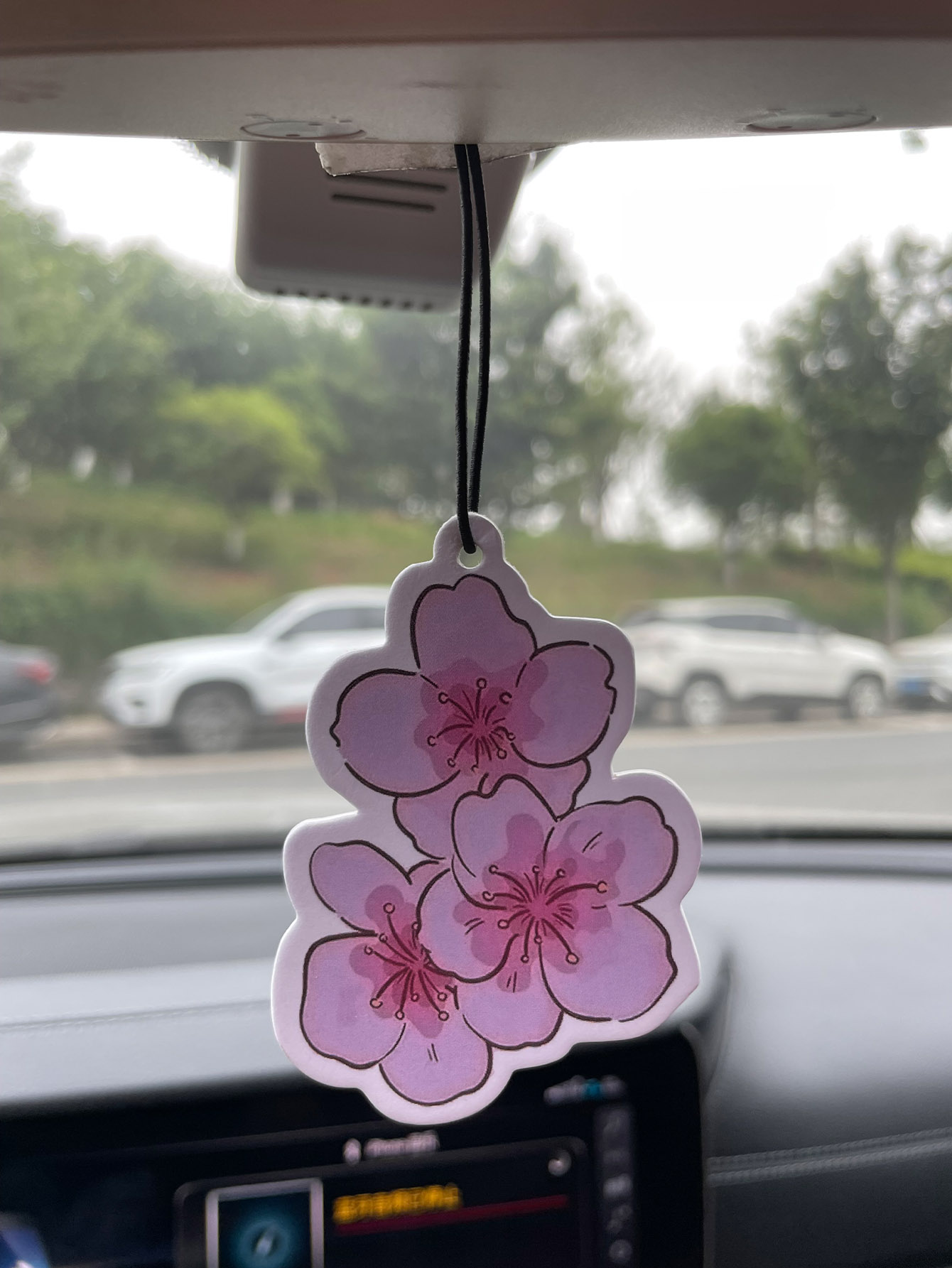 Sakura/Freesia Fresh Scent Fiv - Perfume Fragrance Types 评论和价格